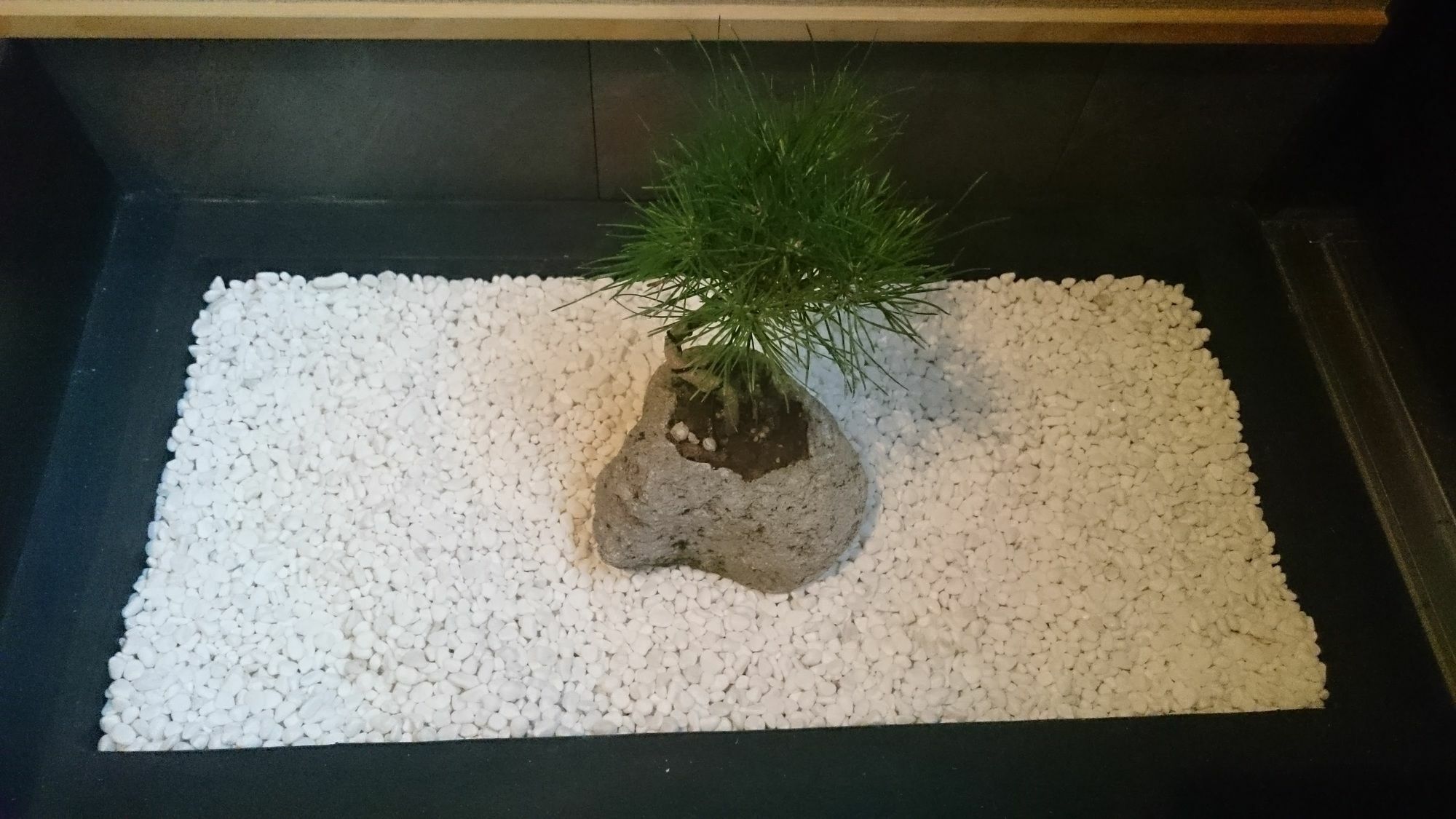 Kanesuke Киото Екстериор снимка